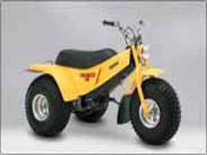 YT125 Three wheeler