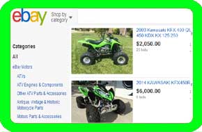 used Duckster four wheeler parts